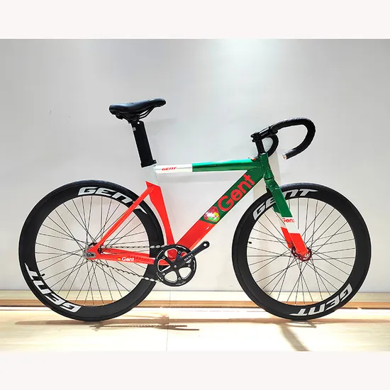 Bici a scatto fisso professionale da donna e uomo in lega di alluminio a prezzo di fabbrica