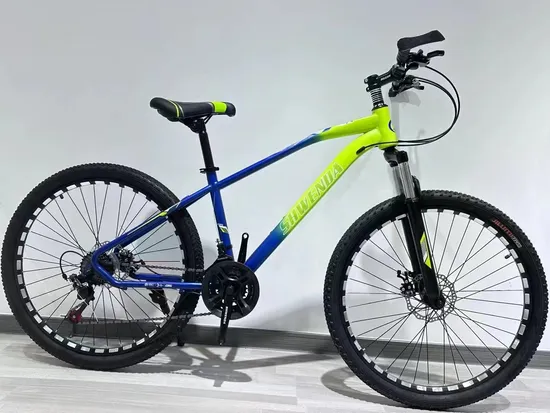 Bici a scatto fisso/Flex da 29
